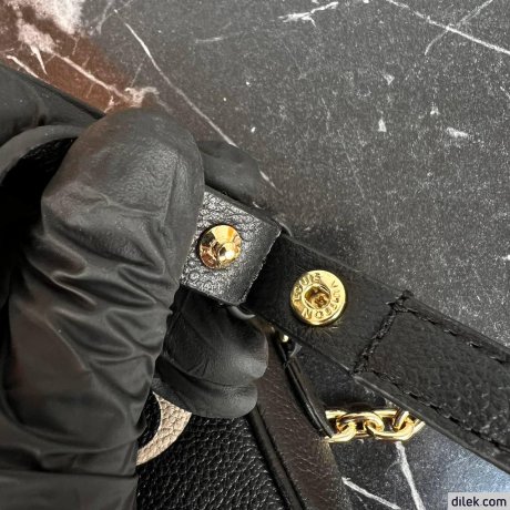 Louis Vuitton Wallet on Chain Ivy Bicolor Monogram