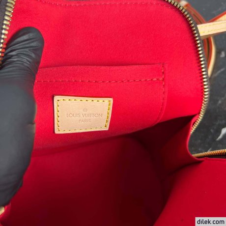 Louis Vuitton Alma Backpack