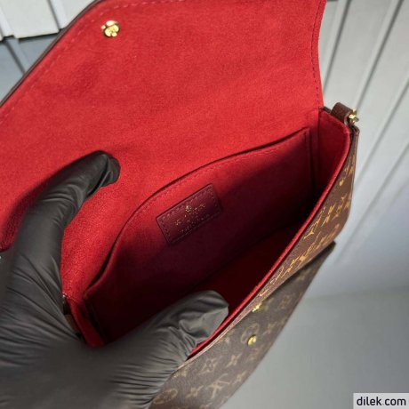 Louis Vuitton Felicie Pochette