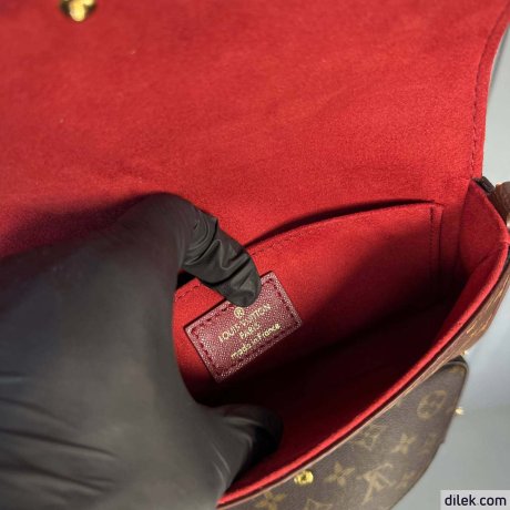 Louis Vuitton Felicie Pochette