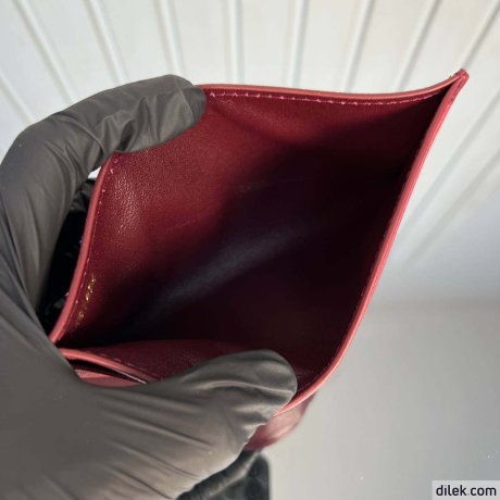 Louis Vuitton Felicie Pochette