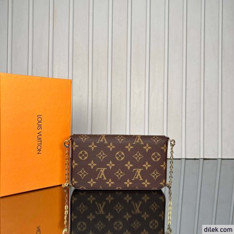Louis Vuitton Felicie Pochette