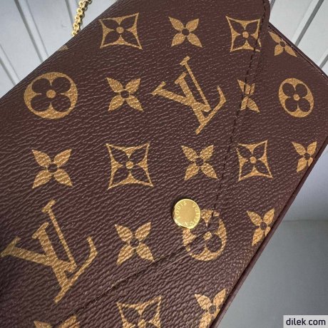 Louis Vuitton Felicie Pochette