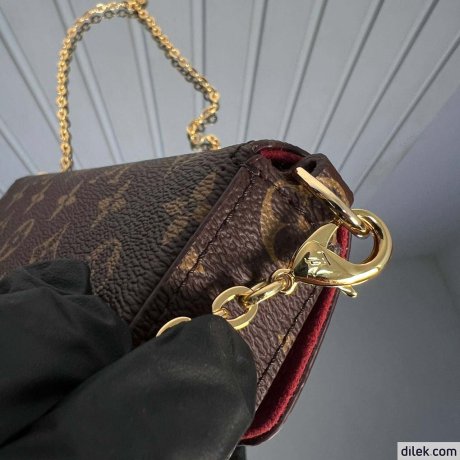 Louis Vuitton Felicie Pochette