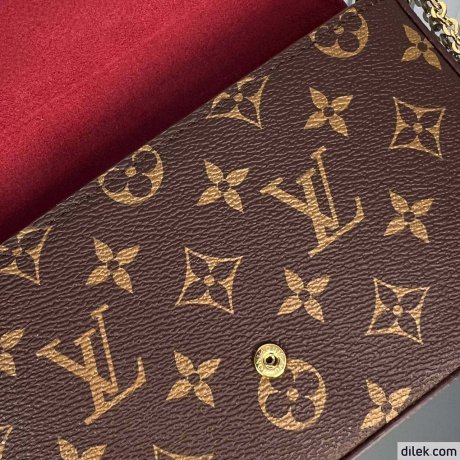 Louis Vuitton Felicie Pochette