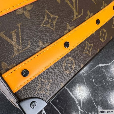 Louis Vuitton Handle Soft Trunk