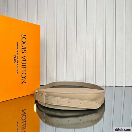 Louis Vuitton Low Key Bumbag