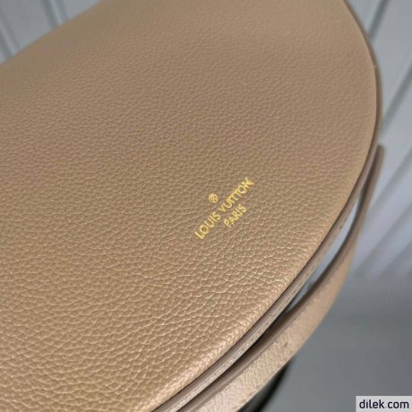 Louis Vuitton Low Key Bumbag