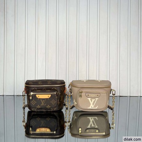 Louis Vuitton Mini Bumbag