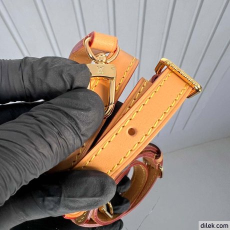 Louis Vuitton Mini Bumbag