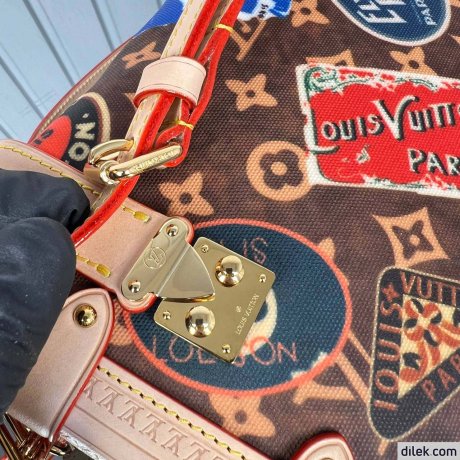 Louis Vuitton Side Trunk MM Other Monogram