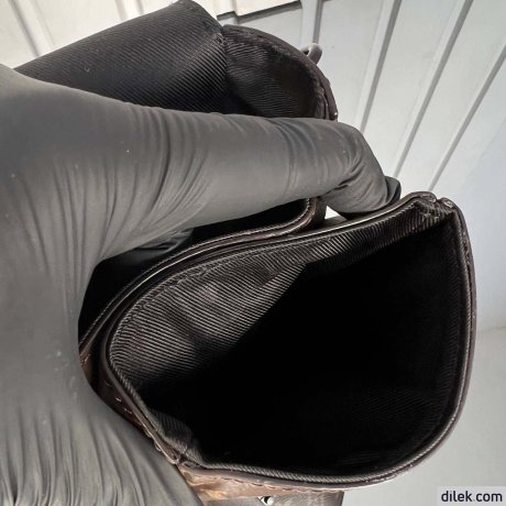 Louis Vuitton S-Lock Vertical Wearable Wallet