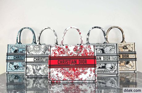 Dior Medium Book Tote