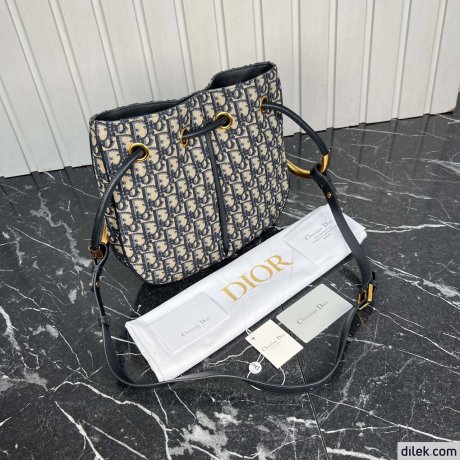 Medium Dior Nolita Bag