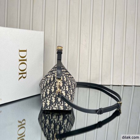 Medium DiorTravel Nomad Pouch