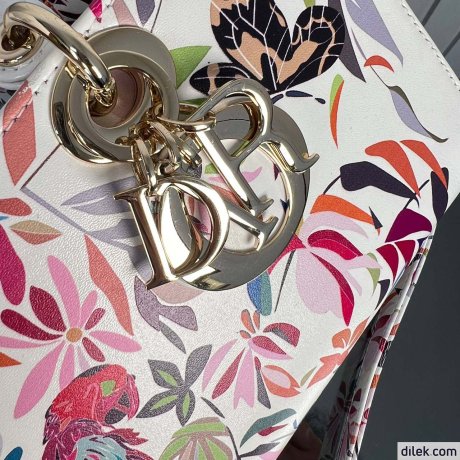 Dior Medium Lady D-Joy Bag