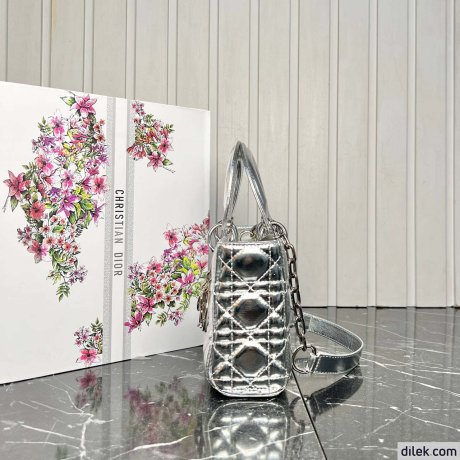 Dior Medium Lady D-Joy Bag