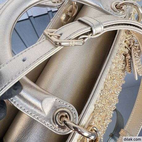 Medium Lady Dior My ABCDior Bag