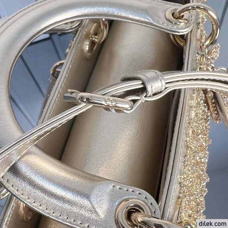 Medium Lady Dior My ABCDior Bag