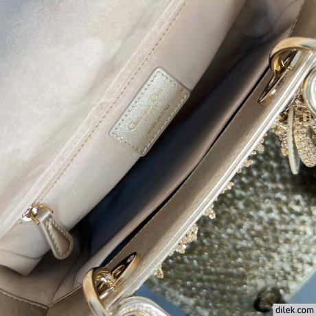 Medium Lady Dior My ABCDior Bag