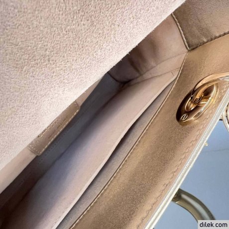 Medium Lady Dior My ABCDior Bag