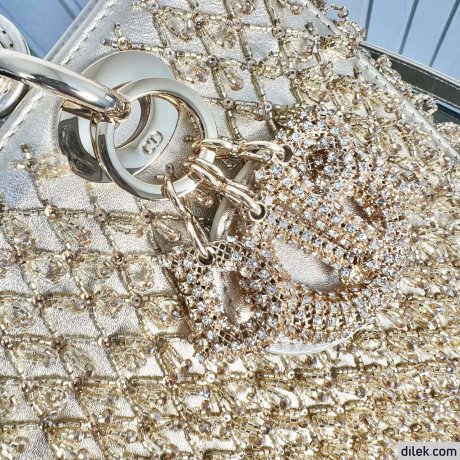 Medium Lady Dior My ABCDior Bag