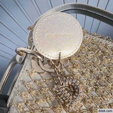 Medium Lady Dior My ABCDior Bag