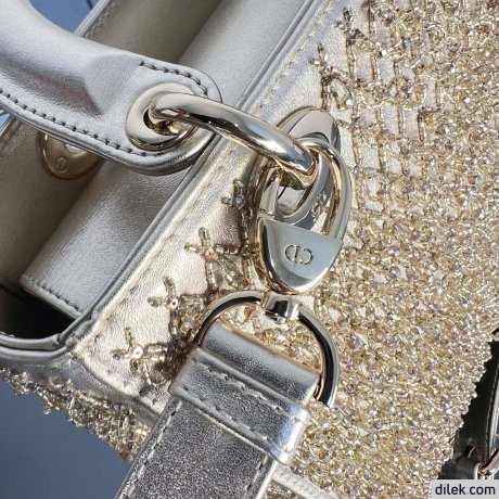 Medium Lady Dior My ABCDior Bag