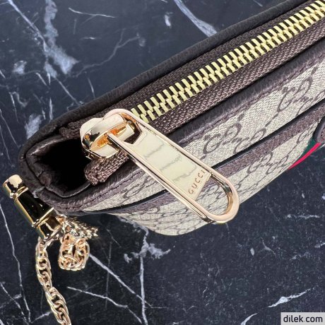 Gucci Ophidia GG Mini Shoulder Bag