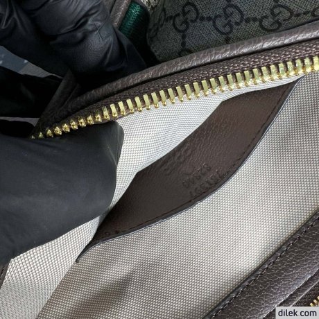 Gucci Ophidia GG Mini Shoulder Bag