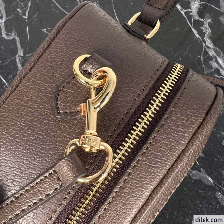 Gucci Ophidia GG Mini Top Handle Bag