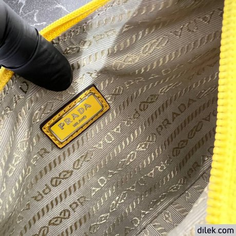 Prada Re-Nylon Re-Edition 2000 Mini Bag