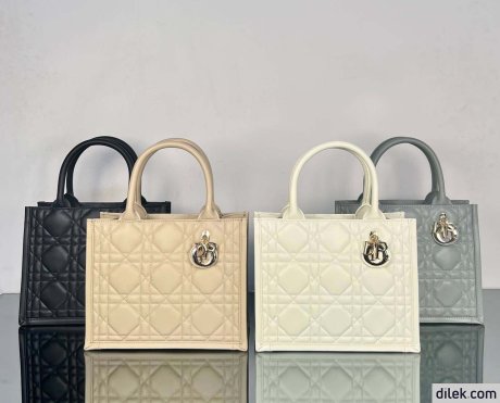 Dior Small Book Tote