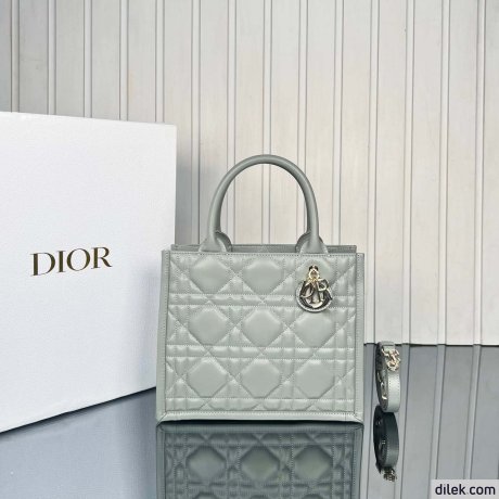Dior Small Book Tote
