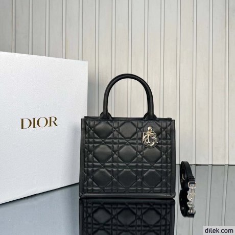 Dior Small Book Tote