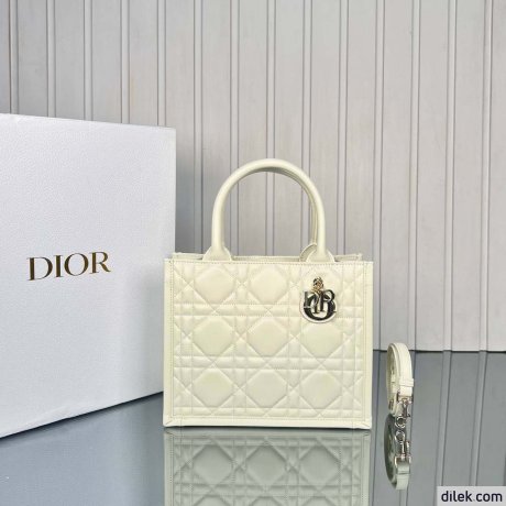 Dior Small Book Tote