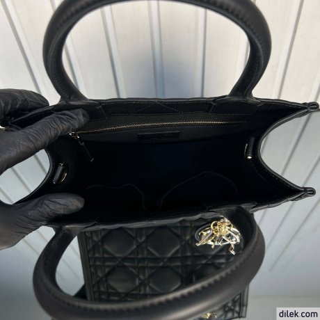 Dior Small Book Tote