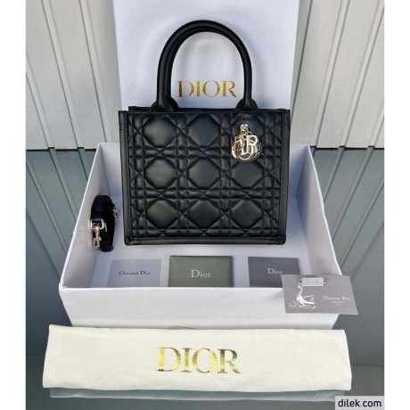 Dior Small Book Tote