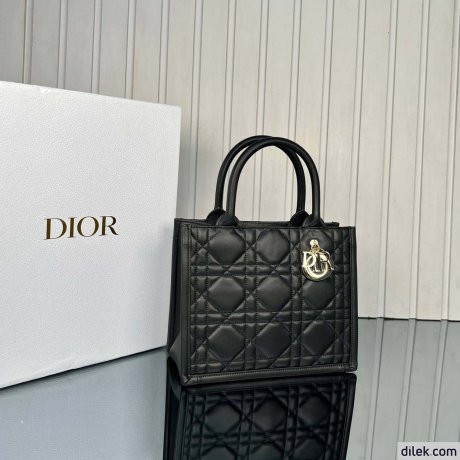 Dior Small Book Tote