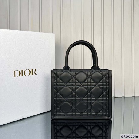 Dior Small Book Tote