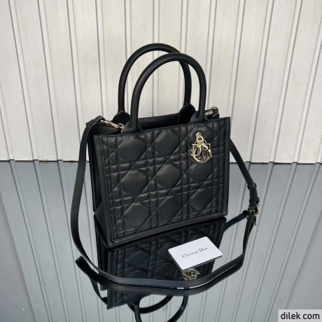 Dior Small Book Tote