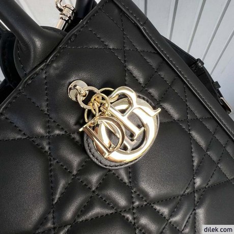 Dior Small Book Tote