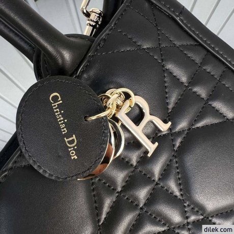 Dior Small Book Tote