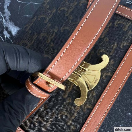 Celine Teen Triomphe Bag