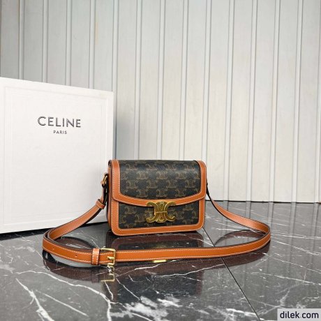 Celine Teen Triomphe Bag