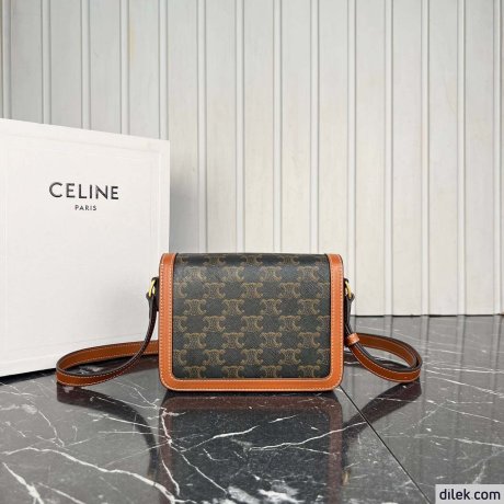 Celine Teen Triomphe Bag