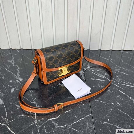 Celine Teen Triomphe Bag