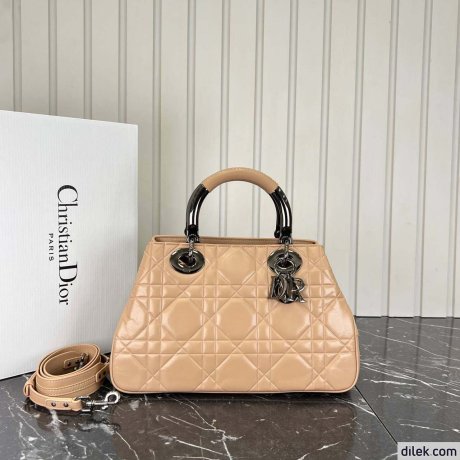 Dior The Lady 95.22 Medium Bag