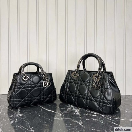 Dior The Lady 95.22 Medium Bag