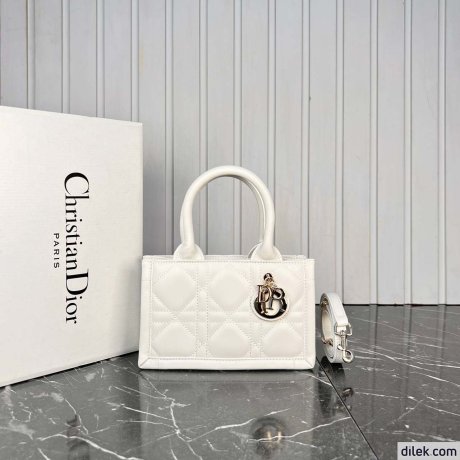 Dior Mini Book Tote